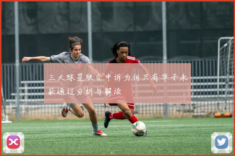 三大球星联合申诉为何只有华子未获通过分析与解读