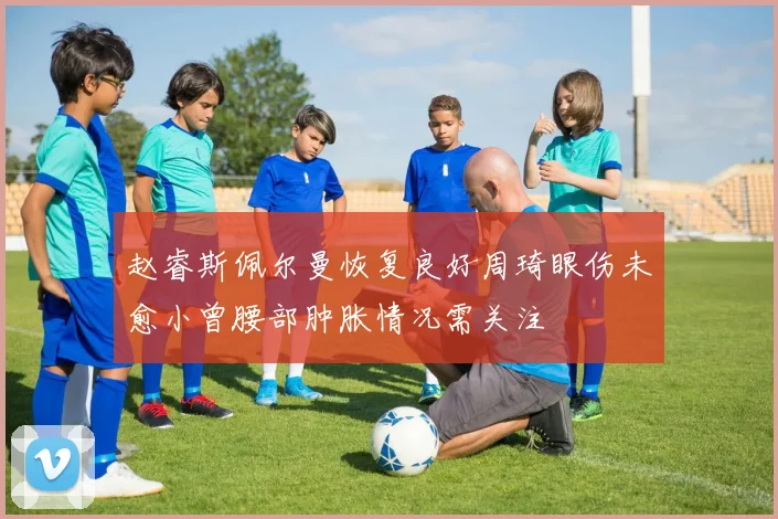 赵睿斯佩尔曼恢复良好周琦眼伤未愈小曾腰部肿胀情况需关注