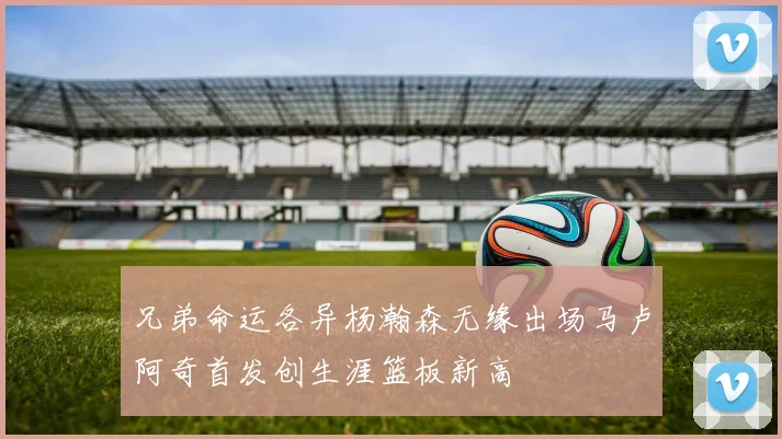 兄弟命运各异杨瀚森无缘出场马卢阿奇首发创生涯篮板新高